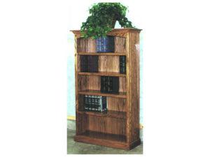 Regular Style Bookcases