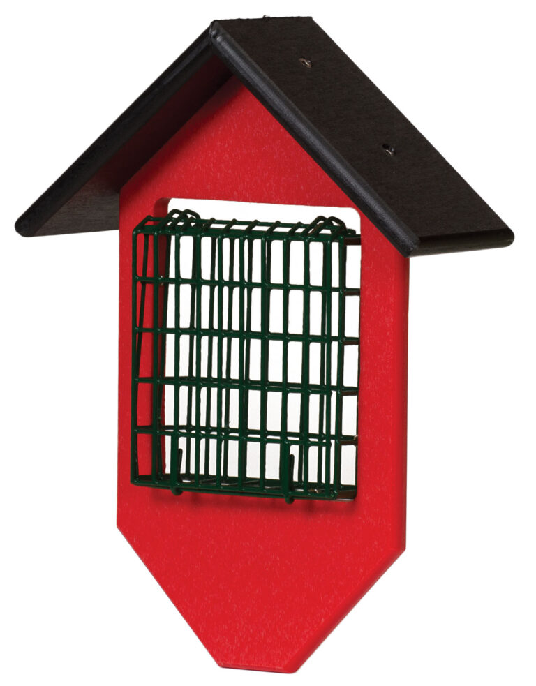 Custom Suet Feeder