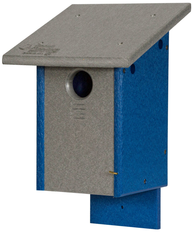 Custom Blue Bird House