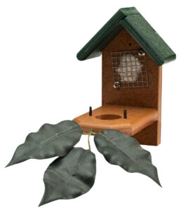 Hummingbird Nest House