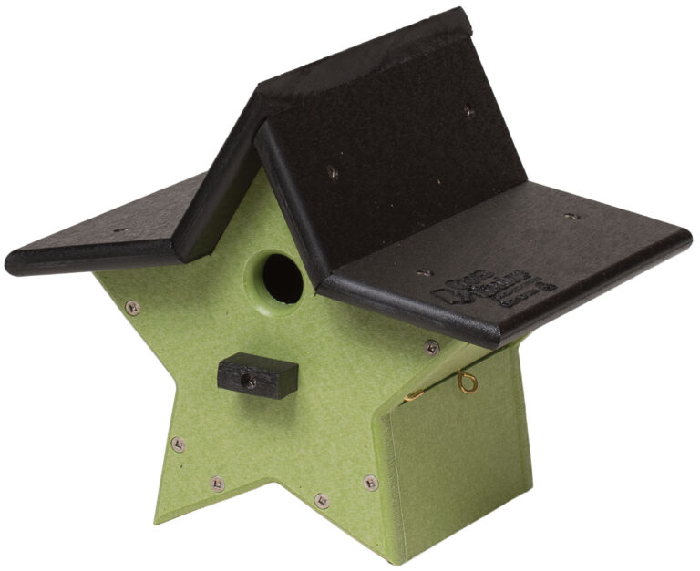 Custom Star Wren or Chickadee House