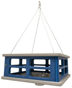 Bluebird Feeder