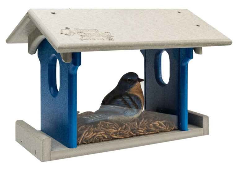 Custom Bluebird Feeder