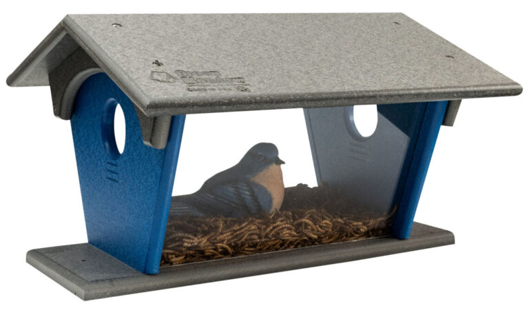 Custom Blue Bird Feeder