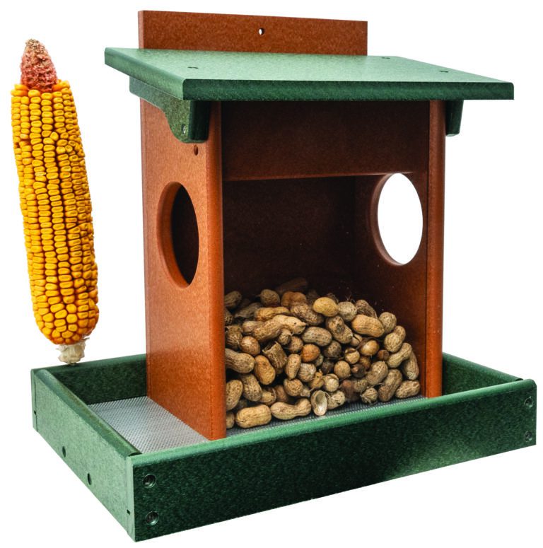 Custom Squirrel Feeder - Small House