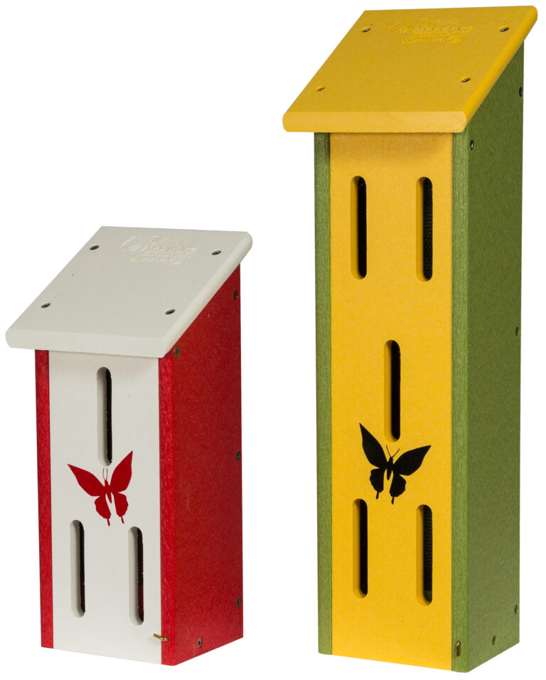 Custom Small and Large Butterfly House