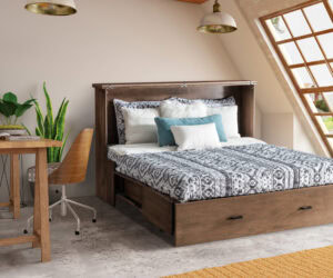 Concord Mobile Murphy Bed