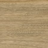 Corbin Bar Stool with Gray Elm (174)
