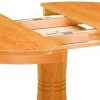 Amish Regal Shaker Dining Table Open