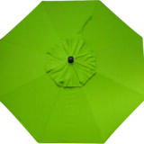 Market Umbrella Series with Kiwi