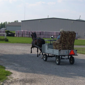 Weaver Furniture Sales Backview Local Delivery