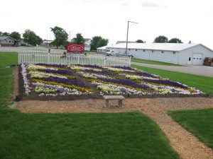 Amish Shadow Quilt Garden 2011