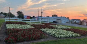 Nine Patch Quilt Garden details july 21 at Weavers